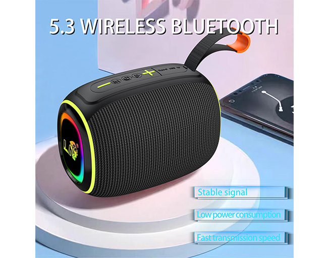 Bluetooth Speaker