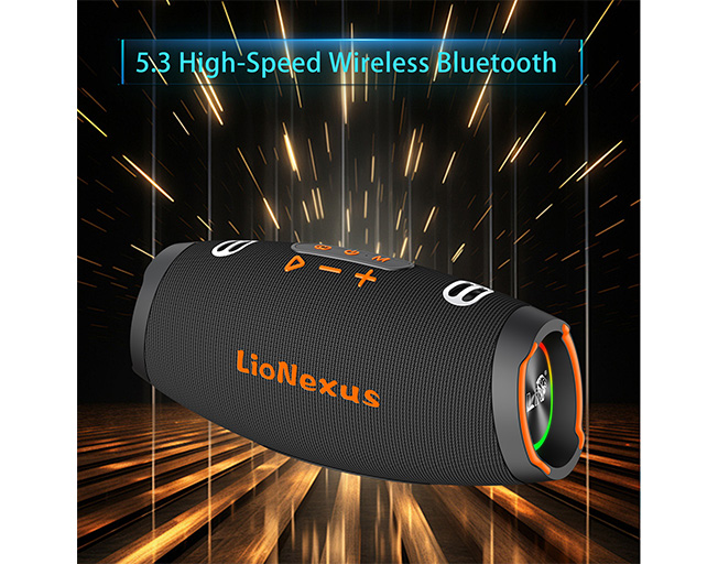 Bluetooth Speaker